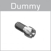 99-0189X Dummy screws